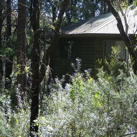 Twin Falls Bush Cottages Fitzroy Falls Zewnętrze zdjęcie