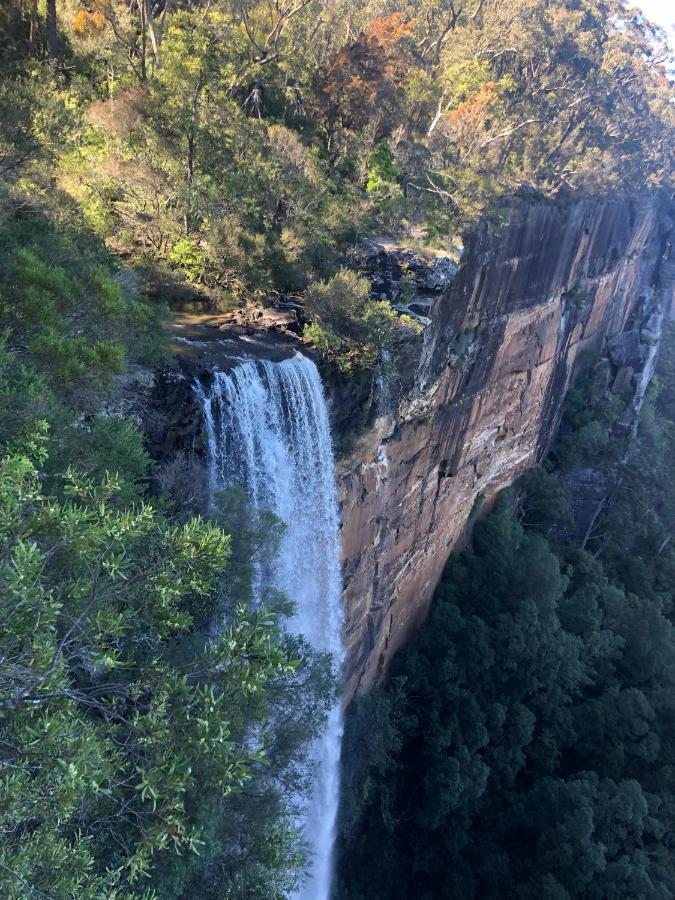 Twin Falls Bush Cottages Fitzroy Falls Zewnętrze zdjęcie