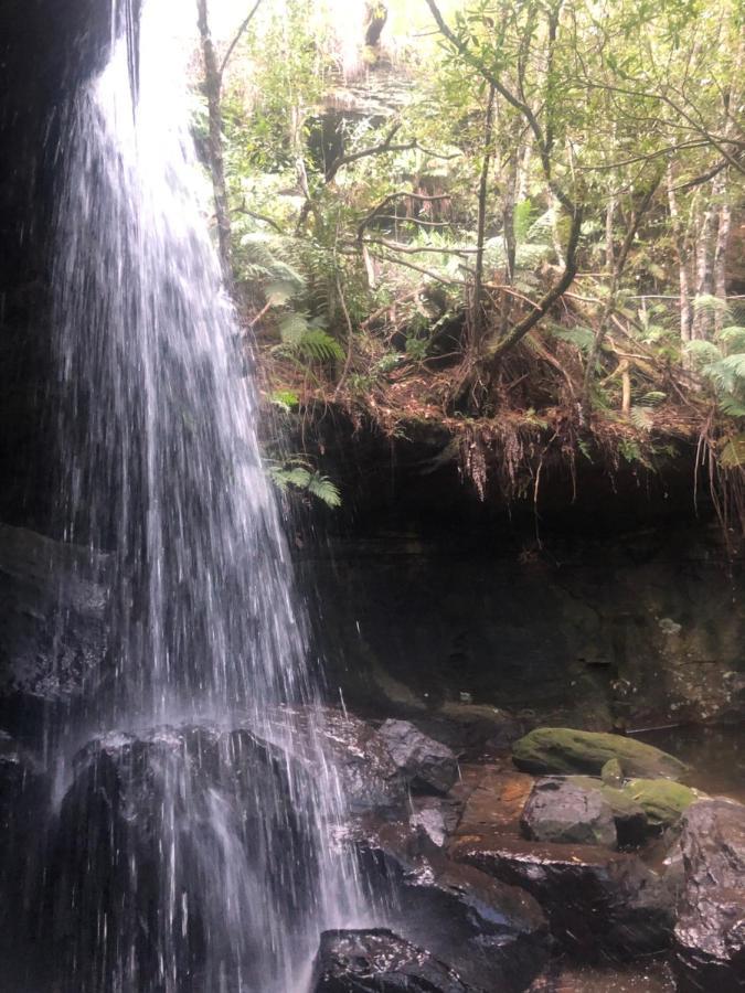 Twin Falls Bush Cottages Fitzroy Falls Zewnętrze zdjęcie