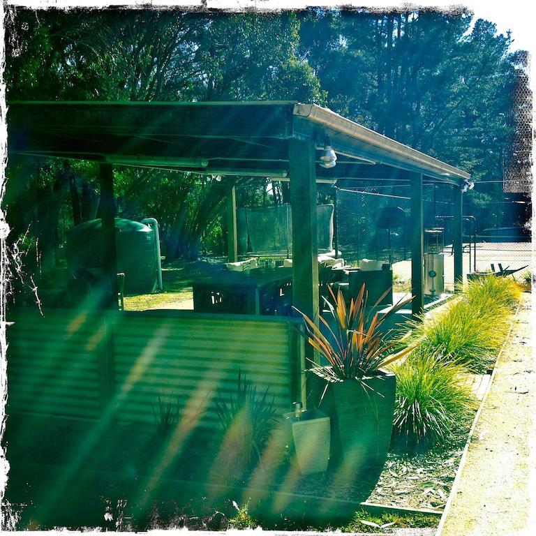 Twin Falls Bush Cottages Fitzroy Falls Pokój zdjęcie