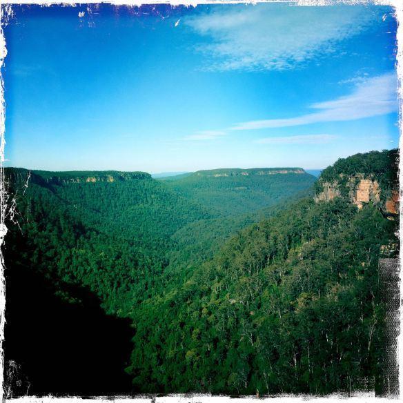 Twin Falls Bush Cottages Fitzroy Falls Pokój zdjęcie