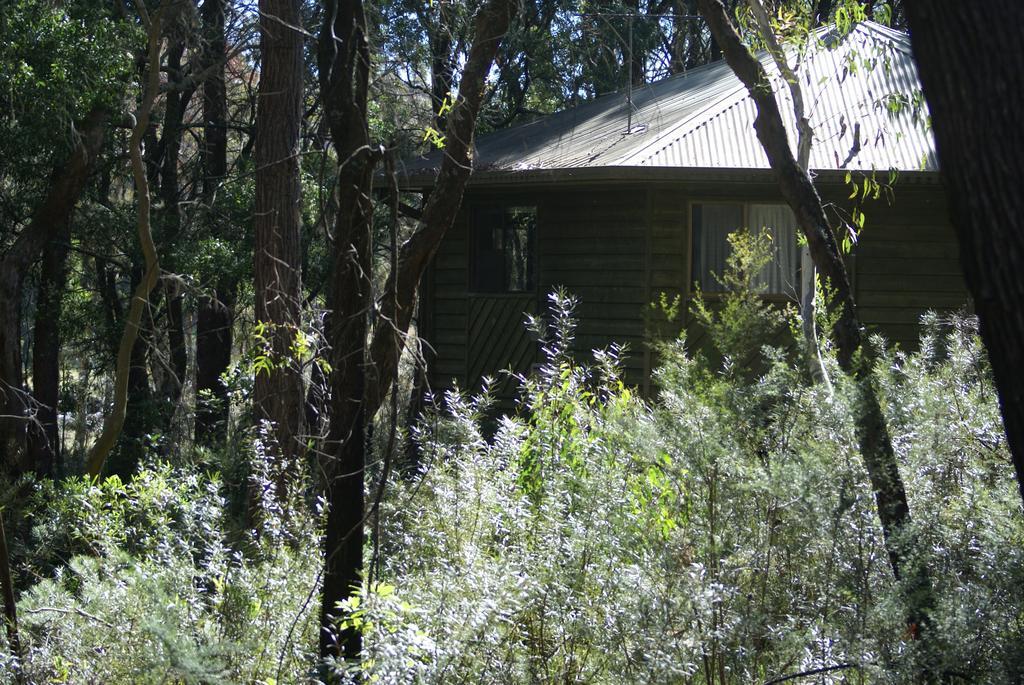 Twin Falls Bush Cottages Fitzroy Falls Zewnętrze zdjęcie
